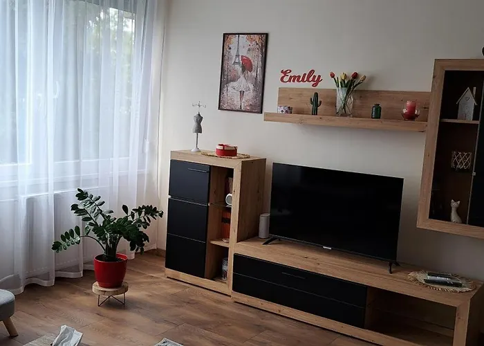 Apartment Emily Salgotarjan