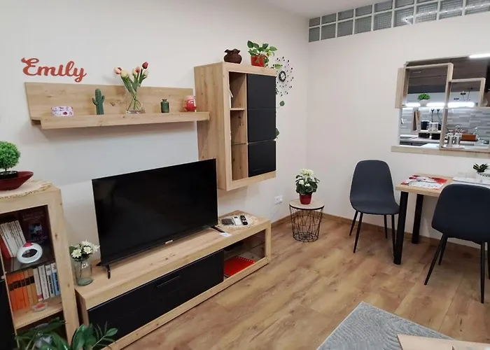 Apartment Emily Salgotarjan